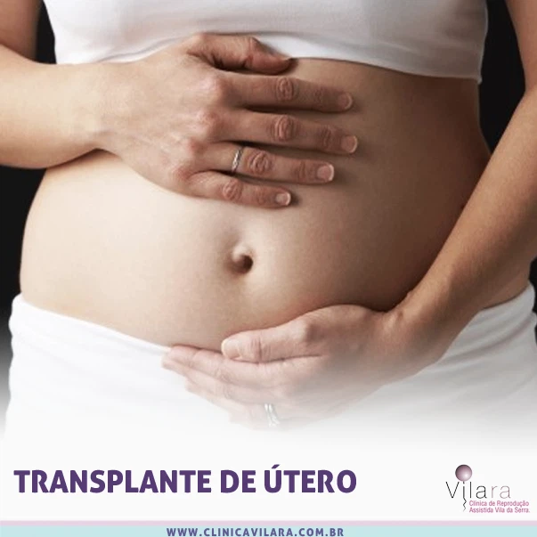 transplante de utero