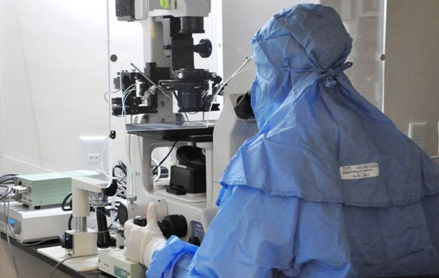 Taxas de sucesso nas tentativas de fecundação do óvulo variam de acordo com a técnica: inseminação artificial ou fertilização in vitro
