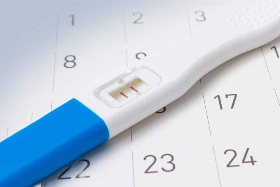 Menstruação e fertilidade: qual a relação?